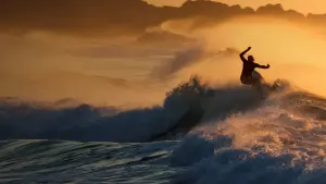 Backdrop to the movie "African Territory 2" #420650