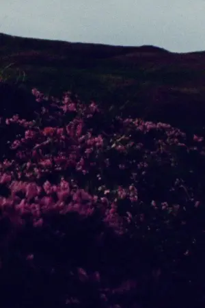 Poster to the movie "barrunto" #312017