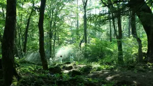 Backdrop to the movie "The Promised Neverland" #474927