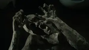 Backdrop to the movie "After Hours" #791486