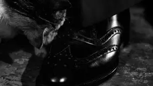 Backdrop to the movie "The Third Man" #699980