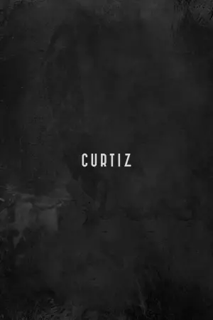 Poster to the movie "Curtiz" #708924
