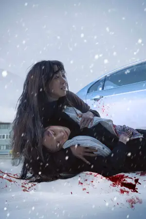 Poster to the movie "The Woman in the White Car" #912063
