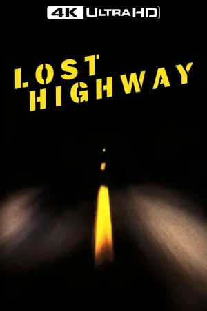 Poster to the movie "Lost Highway" #533691