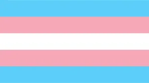 Watch film The British Media & Transphobia | The British Media & Transphobia