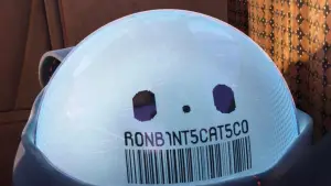 Backdrop to the movie "Ron