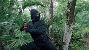 Backdrop to the movie "Miami Connection" #540507