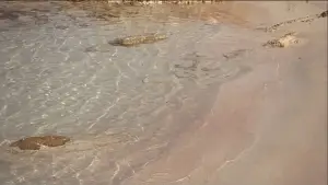 Backdrop to the movie "Red Desert" #775128