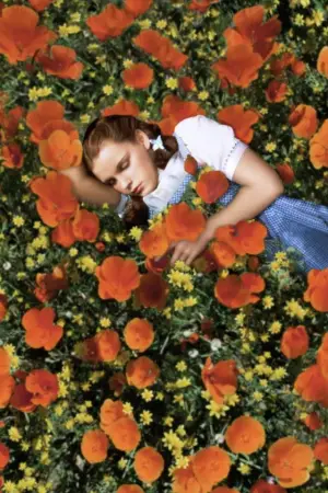 Poster to the movie "The Wizard of Oz" #523936