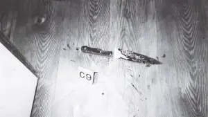 Backdrop to the movie "Longlegs" #553986