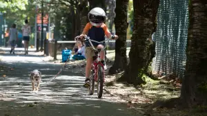 Backdrop to the movie "Wonder" #601027