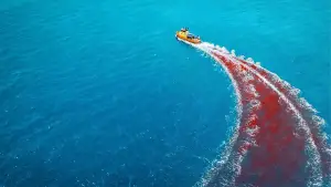 Backdrop to the movie "Dangerous Animals" #552653