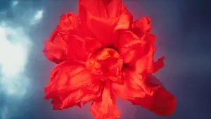 Backdrop to the movie "Megalopolis" #595833