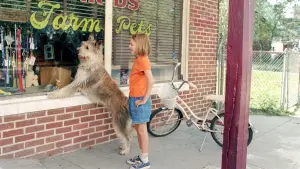 Backdrop to the movie "Because of Winn-Dixie" #467116