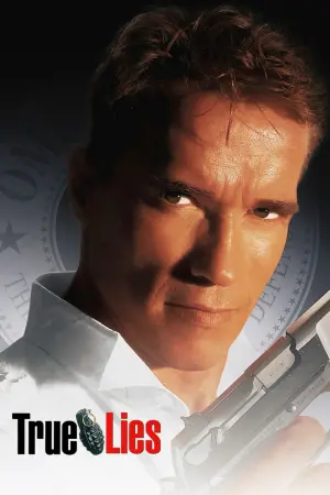Poster to the movie "True Lies" #242837