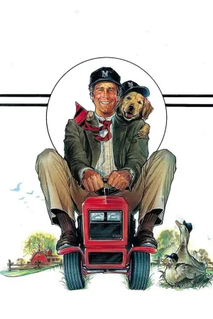 Poster to the movie "Funny Farm" #461723