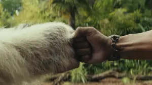 Backdrop to the movie "Rampage" #598880