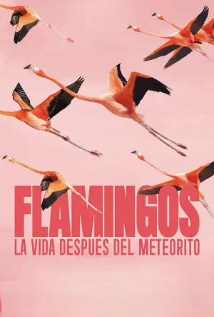 Poster to the movie "Flamingos: Life After the Meteorite" #772284