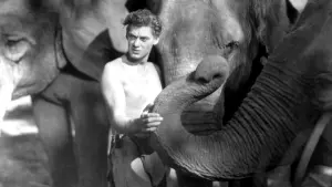 Backdrop to the movie "Tarzan the Ape Man" #356275