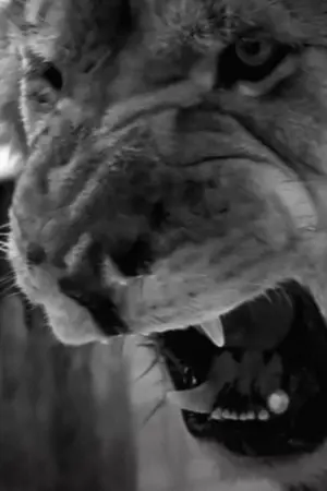 Poster to the movie "Roar" #465843