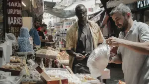 Backdrop to the movie "The Strangers