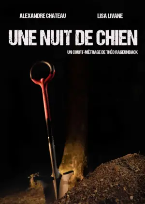 Poster to the movie "Une nuit de chien" #564497