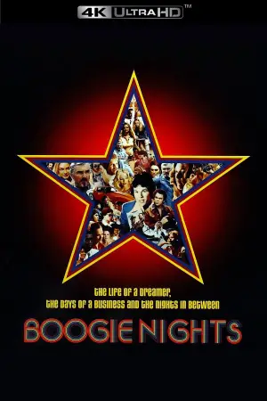 Poster to the movie "Boogie Nights" #630047