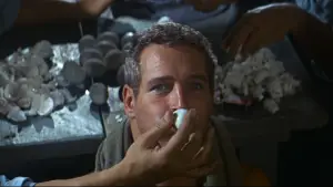 Backdrop to the movie "Cool Hand Luke" #754836