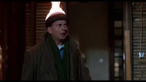 Backdrop to the movie "Home Alone 2: Lost in New York" #567066