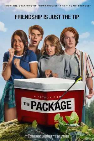 Poster to the movie "The Package" #150691