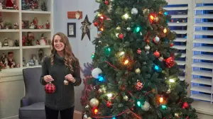 Backdrop to the movie "Christmas Made to Order" #421365