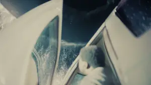 Backdrop to the movie "Nope" #637427