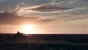 Backdrop to the movie "Dawn" #702816