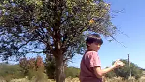 Backdrop to the movie "nestling" #797720