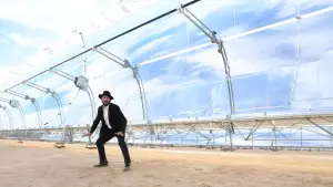 Backdrop to the movie "Guns & Moses" #629806