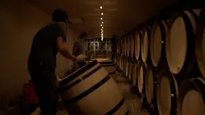 Backdrop to the movie "Into the Wine" #418444