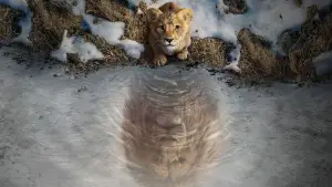 Backdrop to the movie "Mufasa: The Lion King" #557138