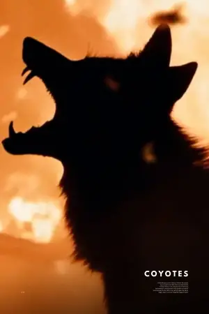 Poster to the movie "Coyotes" #550076
