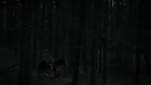 Backdrop to the movie "The Witch" #600261