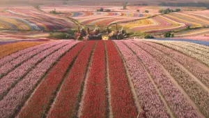 Backdrop to the movie "Wicked" #529485