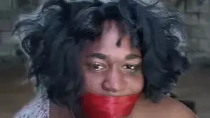 Backdrop to the movie "Terri Joe: Missionary in Miami" #540115