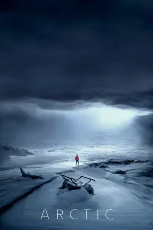 Poster to the movie "Arctic" #364831