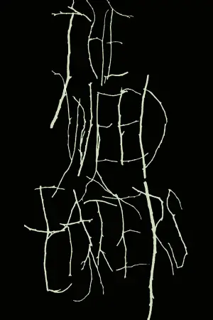 Poster to the movie "The Weed Eaters" #656812