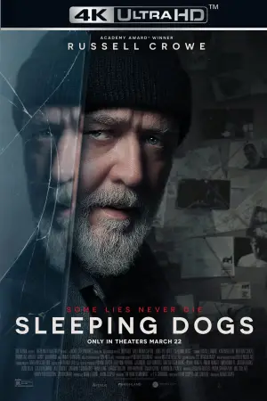 Poster to the movie "Sleeping Dogs" #608430
