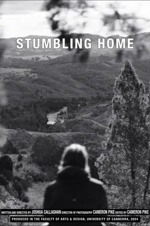 Poster to the movie "Stumbling Home" #476462