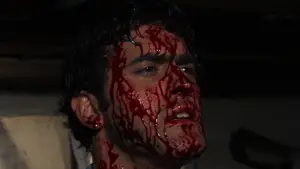 Backdrop to the movie "The Evil Dead" #637030