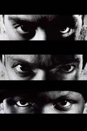 Poster to the movie "La Haine" #637588