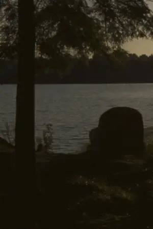 Poster to the movie "Falcon Lake" #760043