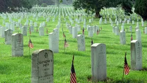 Backdrop to the movie "Gardens of Stone" #452474