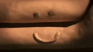 Backdrop to the movie "Memoir of a Snail" #574687